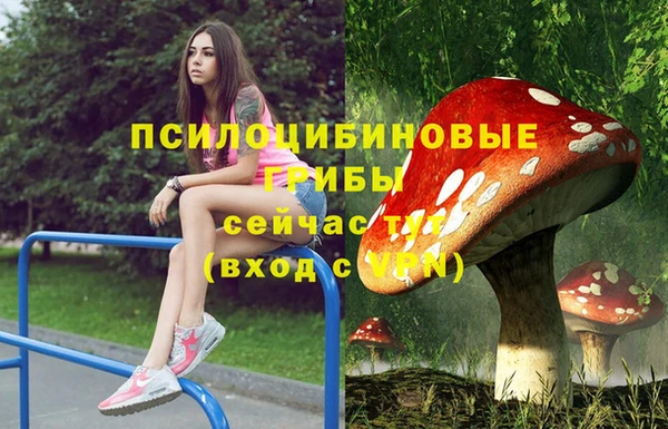 гидропоника Балахна